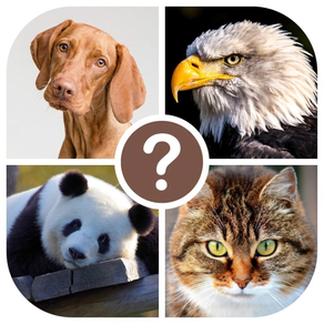 Animals quiz: guess the animal