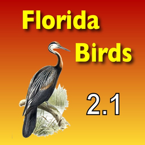 Birds of South Florida