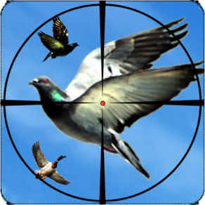 jeu de chasse aux oiseaux 3D