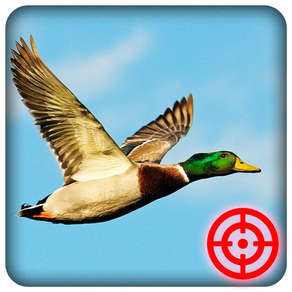 Duck Hunting Season: Wild Bird Shooting 3D