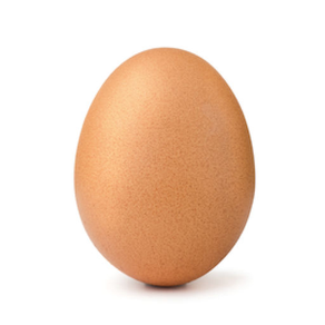 World Record Egg Breaker