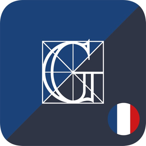 Dizionario medio di Francese