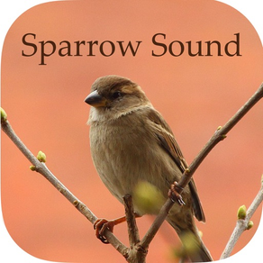Sparrow Sounds - Free Sounds