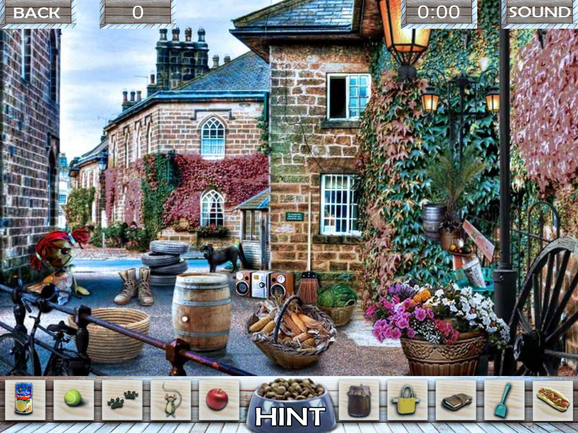 Hidden objects Missing Lulu poster