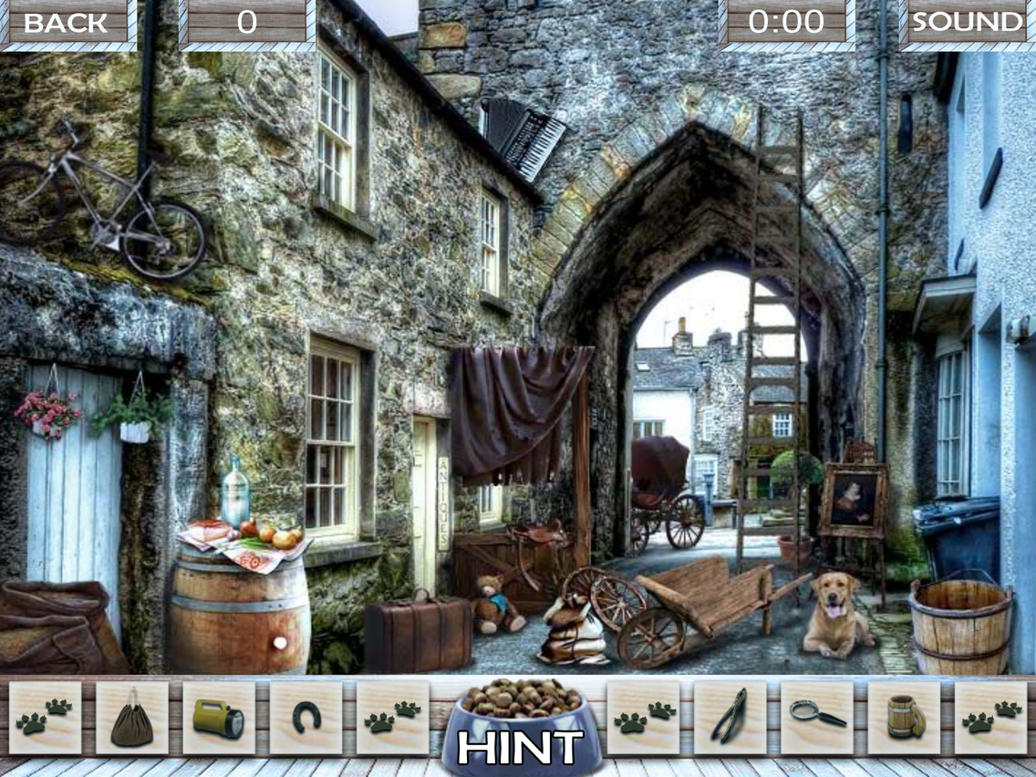 Hidden objects Missing Lulu poster