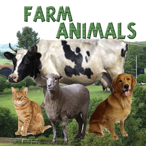 Les animaux de la ferme.