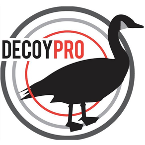 Goose Hunting Diagrams - DecoyPro