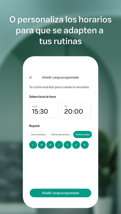 Wallbox الملصق
