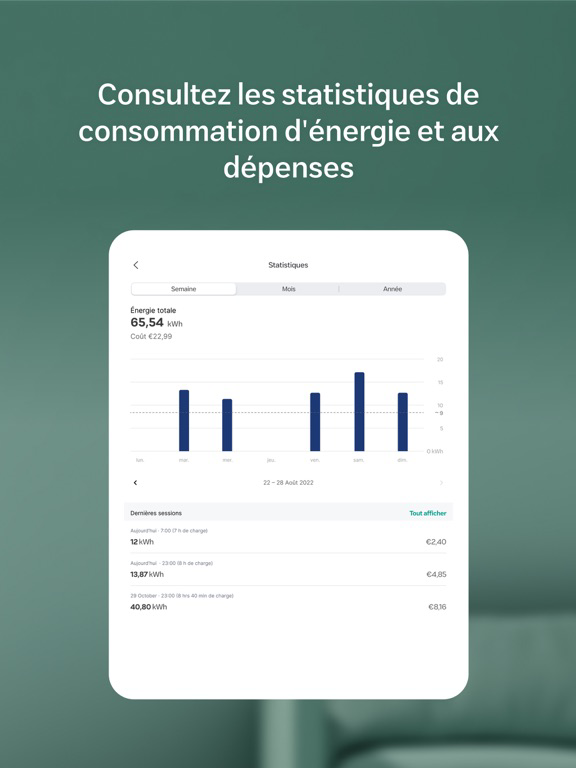 Wallbox Affiche