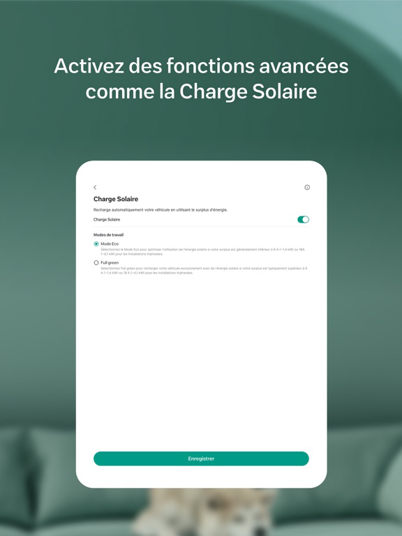 Wallbox Affiche