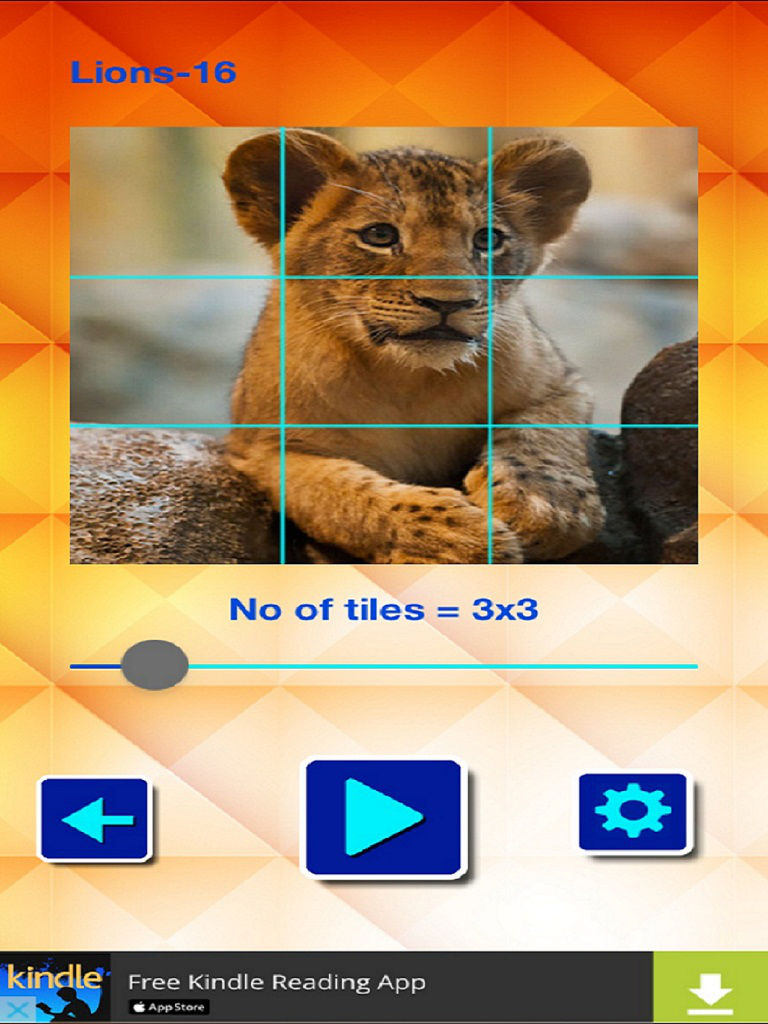 Lions and Big Cats - Puzzle Slide poster
