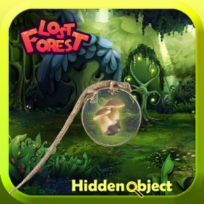 Lost Forest : Hidden Objects