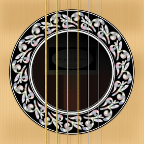 Singer's Guitar