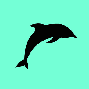 Dolphin Jump