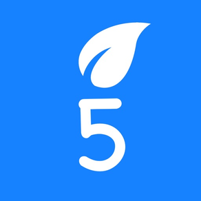 ABC Five — learn language