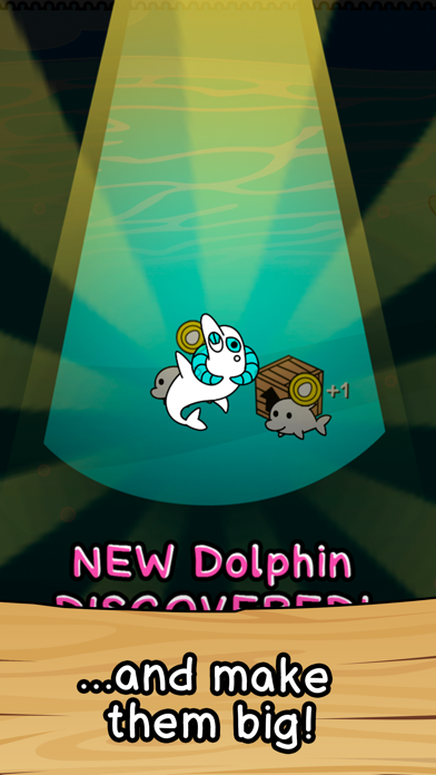 Dolphin Evolution poster