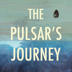 The Pulsar Journey