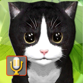 Talking Kittens, gato virtual que habla tu mascota