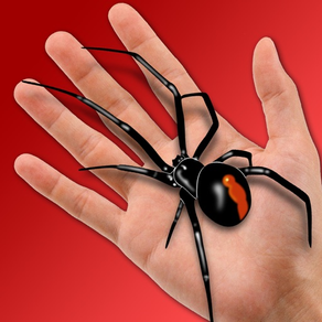 Spinne auf der Hand Streich