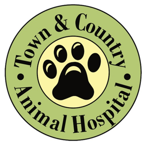 Town & Country Vet