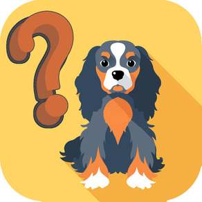 Dog Breeds Trivia Quiz for Dogs Lovers