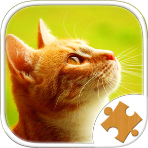 Cat Kitten Kitty Pet Jigsaw Puzzle Sliding Game