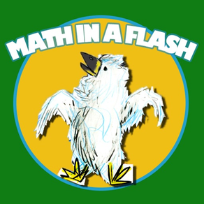 Math In A Flash