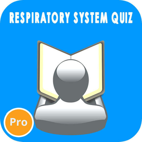 Respiratory System Questions Pro