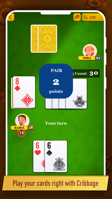 Cribbage ++ poster