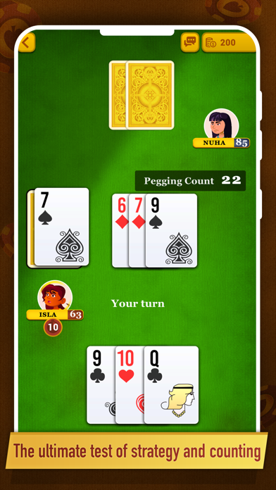 Cribbage ++ poster
