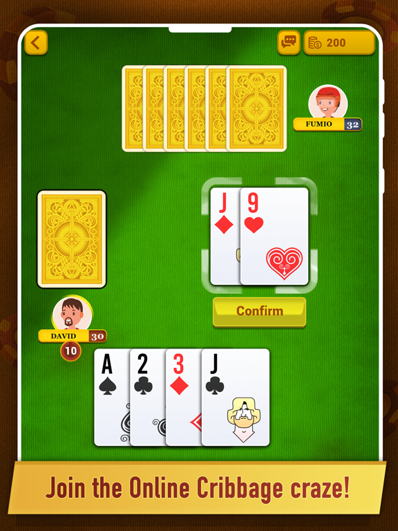 Cribbage ++ poster