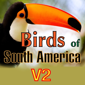 Birds of South America