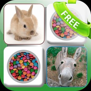 Doodle Pair Animals! Domestic&Pets - Photo Match Up Game Free Version (Picture Match)