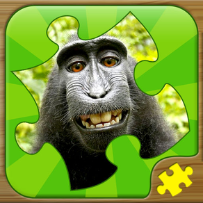 Fun Puzzle Games