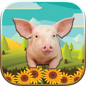 Animals World Puzzle Game