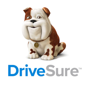 DriveSure