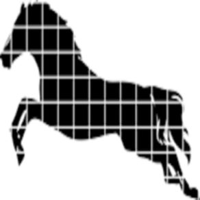 Horses - Sliding Puzzle