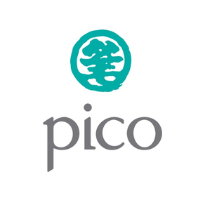 Pico Group Conference 2018