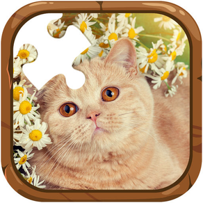 cats jigsaw puzzles game for kids