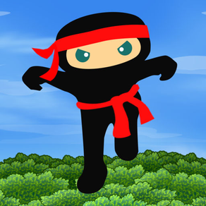 Ninja Fall Quest