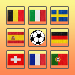 퍼즐 깃발 어울리는 카드 세계 경기 에 대한 비어 있는 2016