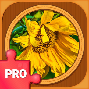 Jigsaw Puzzle Games PRO: Brain Training Jigsaws