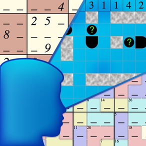 Not Just Sudoku