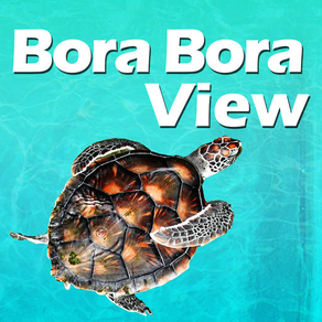 Bora Bora View