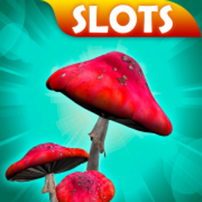 Spielautomaten Mushrooms Slots