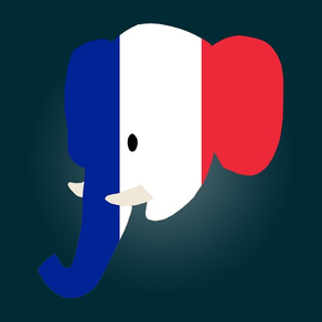 Easy Learning French - Translate & Learn - 60+ Languages, Quiz, frequent words lists, vocabulary