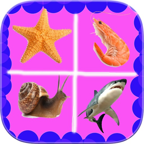 Quiz Jeux animaux aquatiques