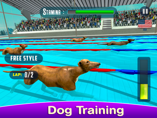 Dog Swimming Race poster