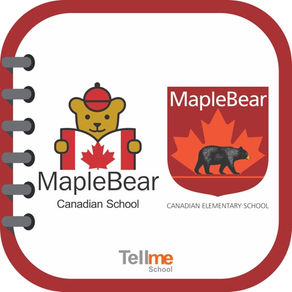 Maple Bear SJC