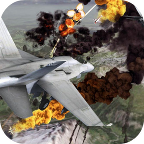 Combat Warplanes